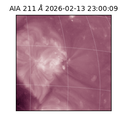 saia - 2026-02-13T23:00:09.626000