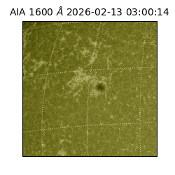 saia - 2026-02-13T03:00:14.125000