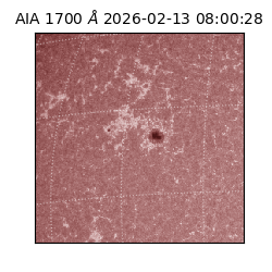 saia - 2026-02-13T08:00:28.709000