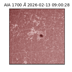 saia - 2026-02-13T09:00:28.718000