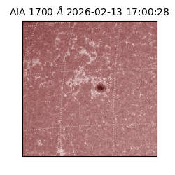 saia - 2026-02-13T17:00:28.717000