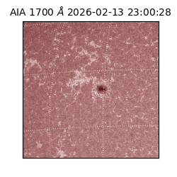 saia - 2026-02-13T23:00:28.717000