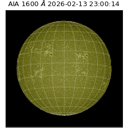 saia - 2026-02-13T23:00:14.133000