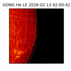 gong - 2026-02-13T02:00:42