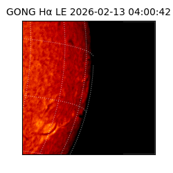 gong - 2026-02-13T04:00:42