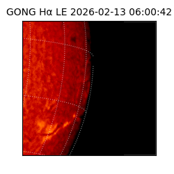 gong - 2026-02-13T06:00:42