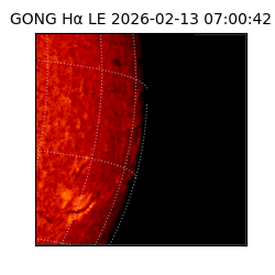 gong - 2026-02-13T07:00:42