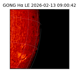 gong - 2026-02-13T09:00:42