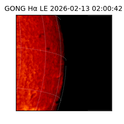 gong - 2026-02-13T02:00:42