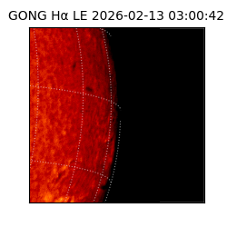 gong - 2026-02-13T03:00:42