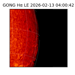 gong - 2026-02-13T04:00:42