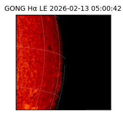 gong - 2026-02-13T05:00:42