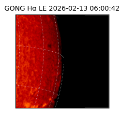 gong - 2026-02-13T06:00:42