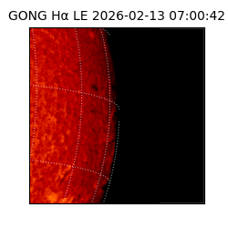 gong - 2026-02-13T07:00:42