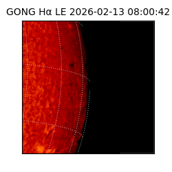 gong - 2026-02-13T08:00:42