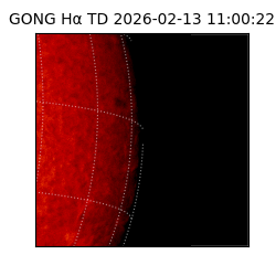 gong - 2026-02-13T11:00:22