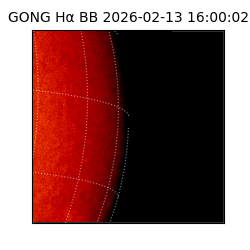 gong - 2026-02-13T16:00:02
