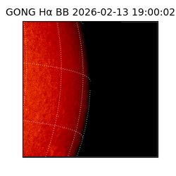 gong - 2026-02-13T19:00:02