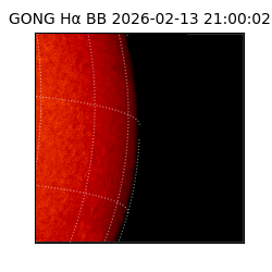 gong - 2026-02-13T21:00:02
