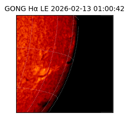 gong - 2026-02-13T01:00:42
