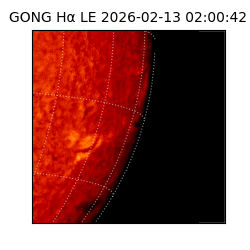 gong - 2026-02-13T02:00:42
