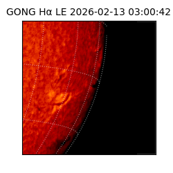 gong - 2026-02-13T03:00:42