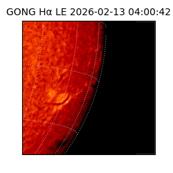 gong - 2026-02-13T04:00:42