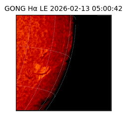 gong - 2026-02-13T05:00:42