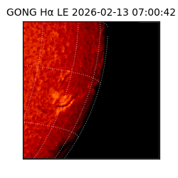 gong - 2026-02-13T07:00:42