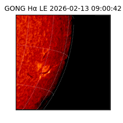 gong - 2026-02-13T09:00:42