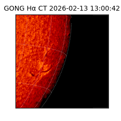 gong - 2026-02-13T13:00:42