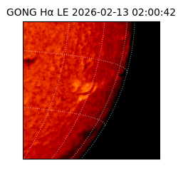 gong - 2026-02-13T02:00:42