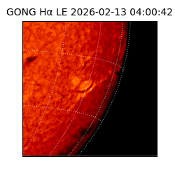 gong - 2026-02-13T04:00:42