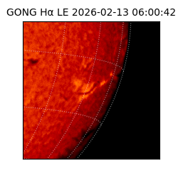 gong - 2026-02-13T06:00:42