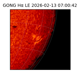 gong - 2026-02-13T07:00:42