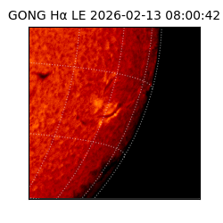 gong - 2026-02-13T08:00:42