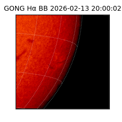 gong - 2026-02-13T20:00:02