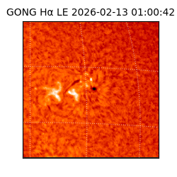 gong - 2026-02-13T01:00:42