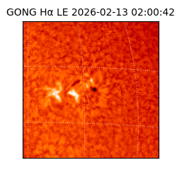 gong - 2026-02-13T02:00:42