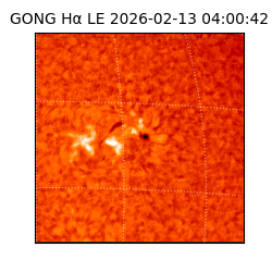 gong - 2026-02-13T04:00:42