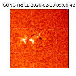 gong - 2026-02-13T05:00:42