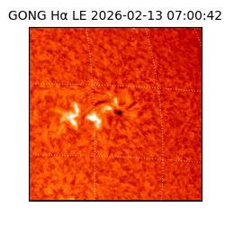 gong - 2026-02-13T07:00:42