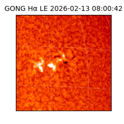 gong - 2026-02-13T08:00:42