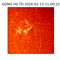 gong - 2026-02-13T11:00:22