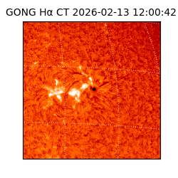 gong - 2026-02-13T12:00:42