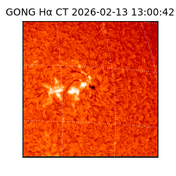 gong - 2026-02-13T13:00:42