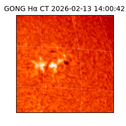 gong - 2026-02-13T14:00:42