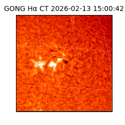 gong - 2026-02-13T15:00:42