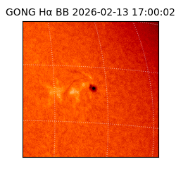 gong - 2026-02-13T17:00:02