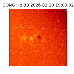 gong - 2026-02-13T19:00:02